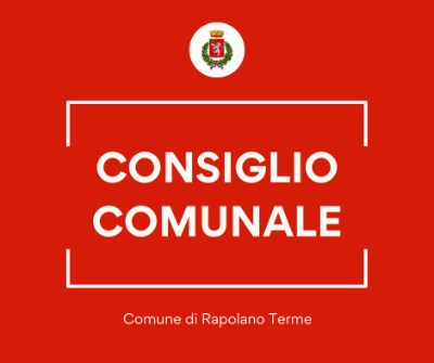 CONSIGLIO COMUNALE